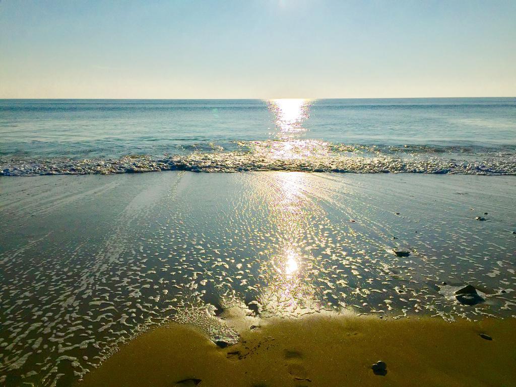 Hotel Restaurant & Spa Plaisir Le Bois-Plage-en-Ré Εξωτερικό φωτογραφία
